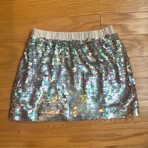Crewcuts Silver Sequin Skirt - Girls 6/7